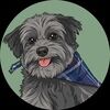 gooddogfinds